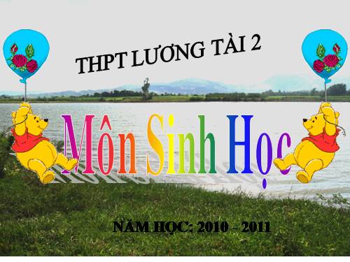 Bài 12. Hô hấp ở thực vật