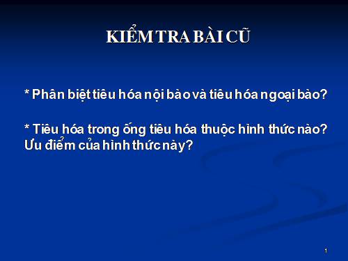 Bài 16. Tiêu hoá ở động vật (tiếp theo)