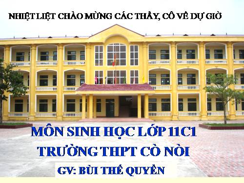 Bài 19. Tuần hoàn máu (tiếp theo)