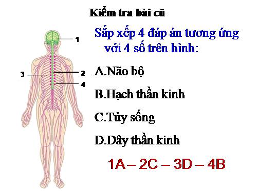 Bài 28. Điện thế nghỉ