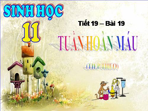 Bài 19. Tuần hoàn máu (tiếp theo)