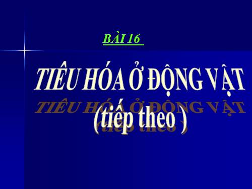 Bài 16. Tiêu hoá ở động vật (tiếp theo)