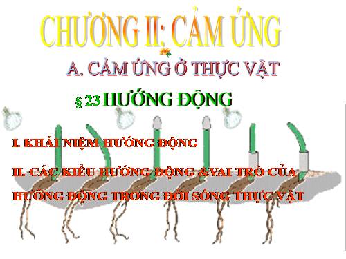 Bài 23. Hướng động