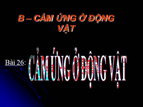 Bài 26. Cảm ứng ở động vật