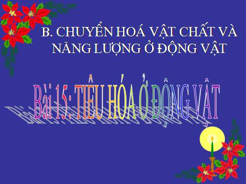 Bài 15. Tiêu hoá ở động vật