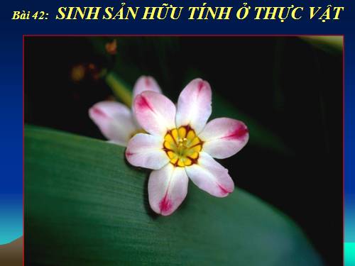 Bài 42. Sinh sản hữu tính ở thực vật