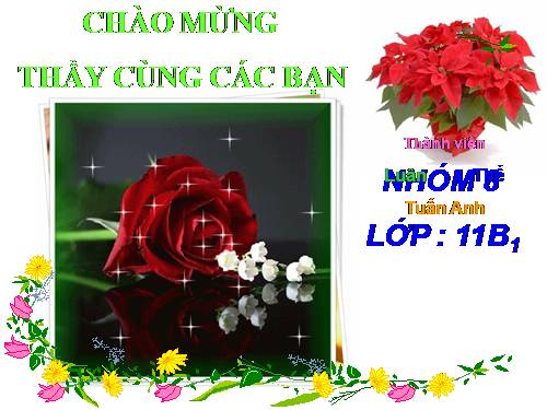 Bài 11. Quang hợp và năng suất cây trồng