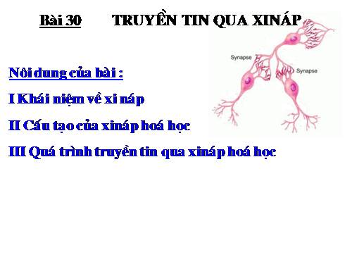 Bài 30. Truyền tin qua xináp