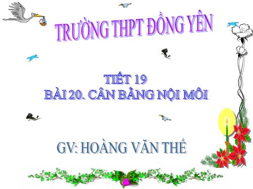 Bài 20. Cân bằng nội môi