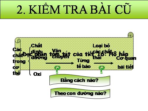 Bài 18. Tuần hoàn máu