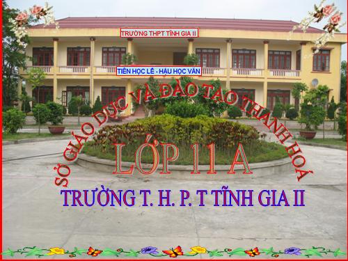 Bài 45. Sinh sản hữu tính ở động vật