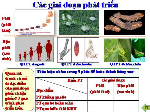 bài 37 st và pt ở động vật (dạy học tích cực)