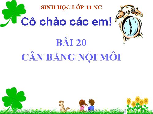 Bài 20. Cân bằng nội môi