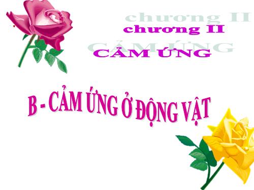 Bài 27. Cảm ứng ở động vật (tiếp theo)