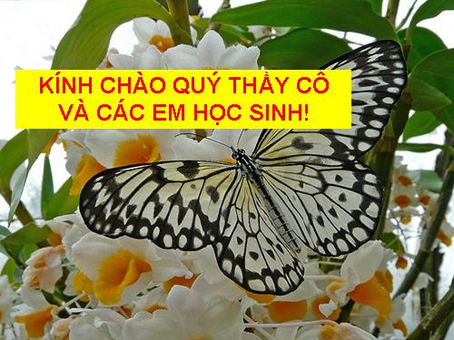 Bài 19. Tuần hoàn máu (tiếp theo)