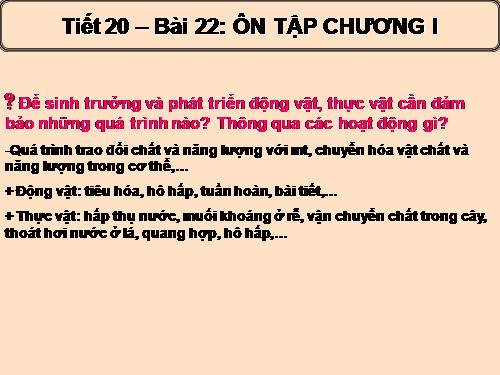 Bài 22. Ôn tập chương I