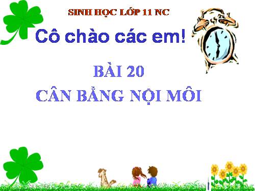 Bài 20. Cân bằng nội môi