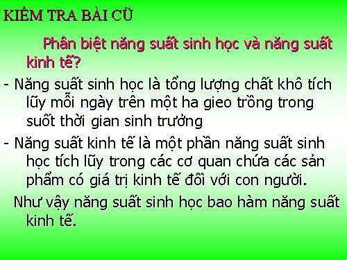 Bài 12. Hô hấp ở thực vật