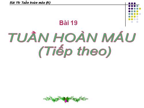 Bài 19. Tuần hoàn máu (tiếp theo)