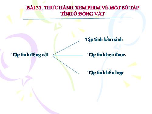 Bài 33. Thực hành: Xem phim về tập tính của động vật