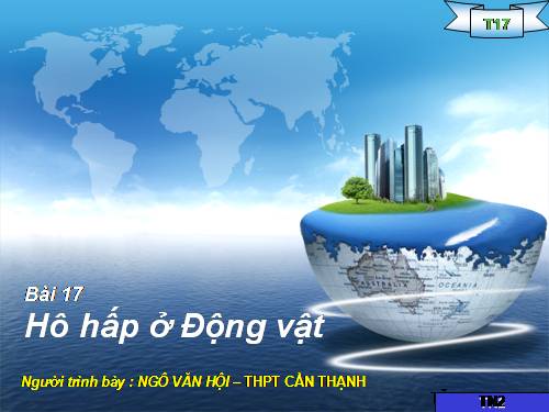 Bài 17. Hô hấp ở động vật