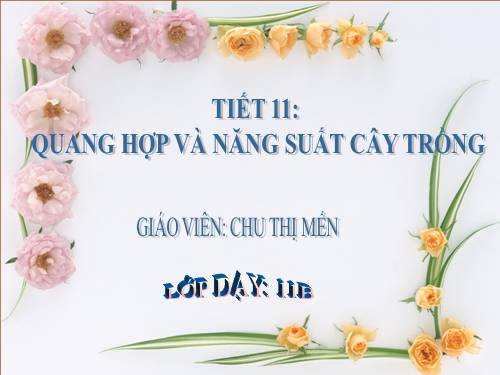 Bài 11. Quang hợp và năng suất cây trồng