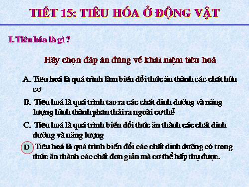 Bài 15. Tiêu hoá ở động vật