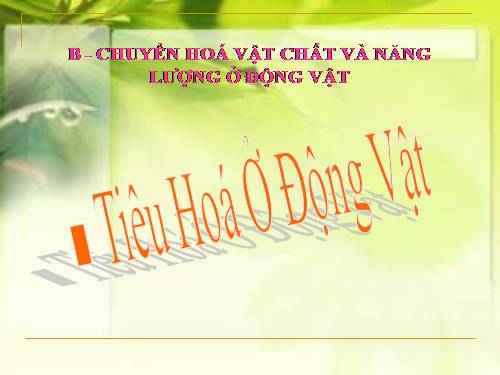 Bài 15. Tiêu hoá ở động vật