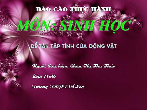 Bài 31. Tập tính của động vật