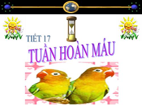 Bài 18. Tuần hoàn máu