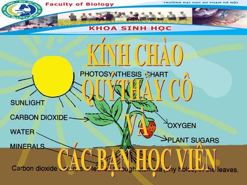 Bài 9. Quang hợp ở các nhóm thực vật C3, C4 và CAM