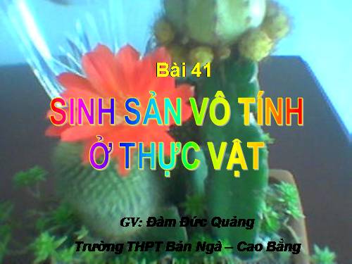 Bài 41. Sinh sản vô tính ở thực vật