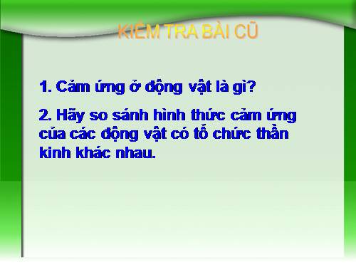 Bài 27. Cảm ứng ở động vật (tiếp theo)