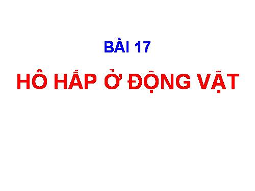 Bài 17. Hô hấp ở động vật