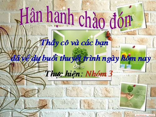 Bài 16. Tiêu hoá ở động vật (tiếp theo)