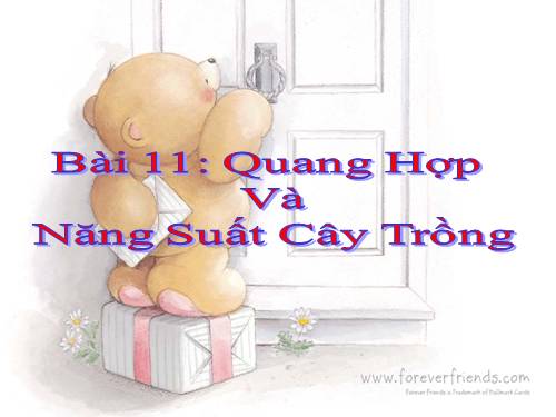 Bài 11. Quang hợp và năng suất cây trồng