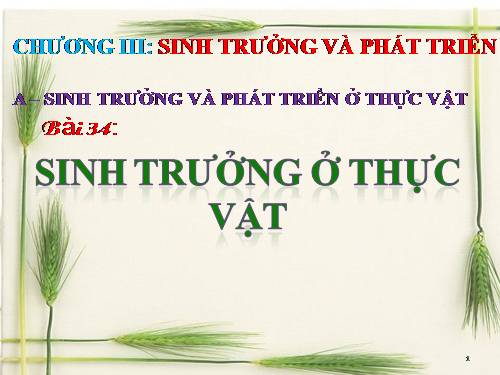 Bài 34. Sinh trưởng ở thực vật