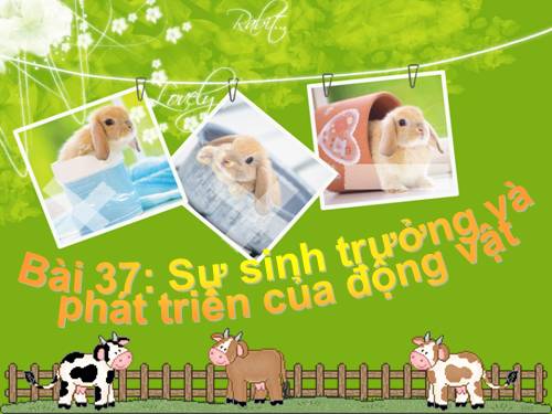 Bài 37. Sinh trưởng và phát triển ở động vật