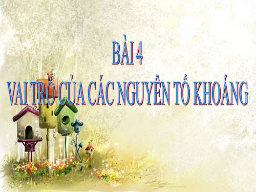 Bài 4. Vai trò của các nguyên tố khoáng