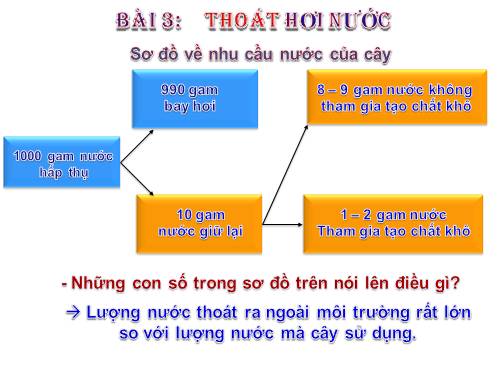 Bài 3. Thoát hơi nước