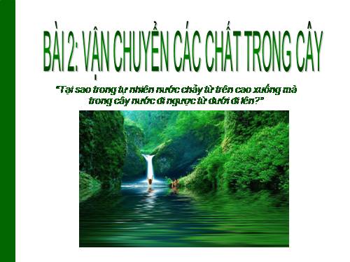 Bài 2. Vận chuyển các chất trong cây