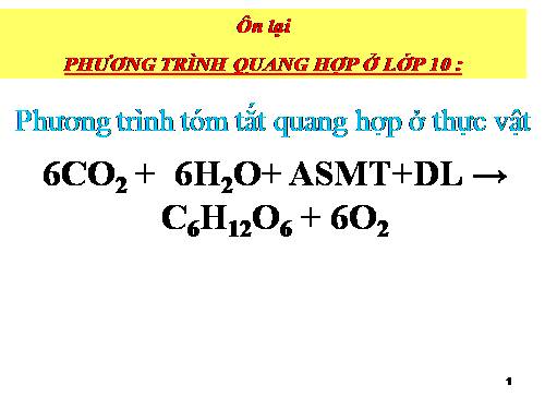 Bài 8. Quang hợp ở thực vật