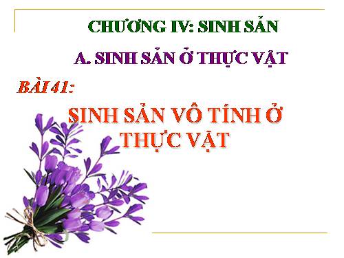 Bài 41. Sinh sản vô tính ở thực vật