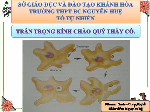 Bài 44. Sinh sản vô tính ở động vật