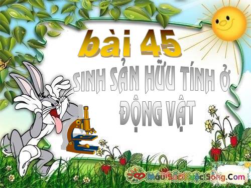 Bài 45. Sinh sản hữu tính ở động vật