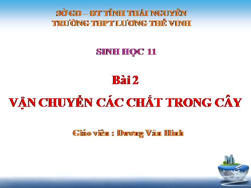 Bài 2. Vận chuyển các chất trong cây