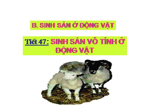 Bài 41. Sinh sản vô tính ở thực vật