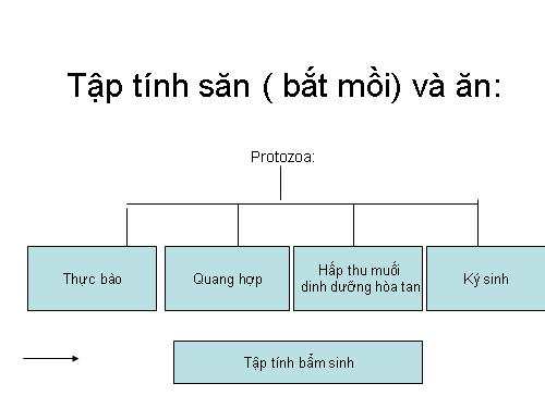 Bài 31. Tập tính của động vật