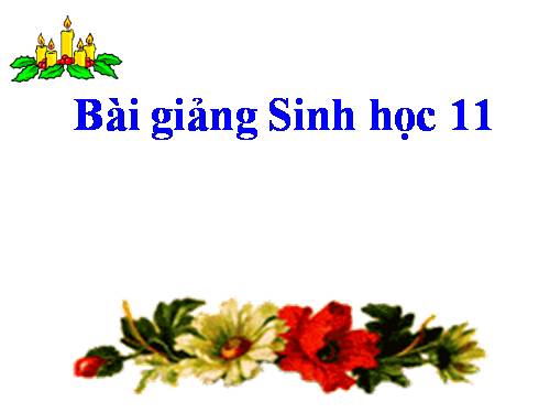 Bài 41. Sinh sản vô tính ở thực vật