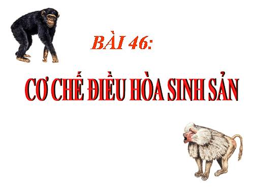 Bài 46. Cơ chế điều hòa sinh sản